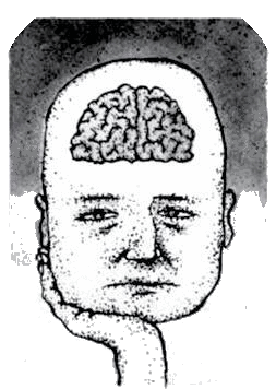  مجلة الكاتب اليساري